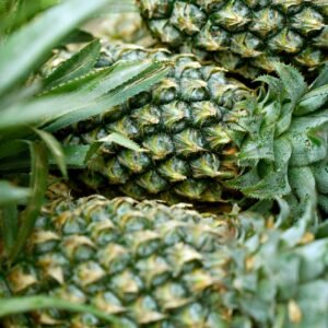 ignartonosbg pineapple 8440180 1920