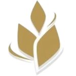 images 2 removebg preview