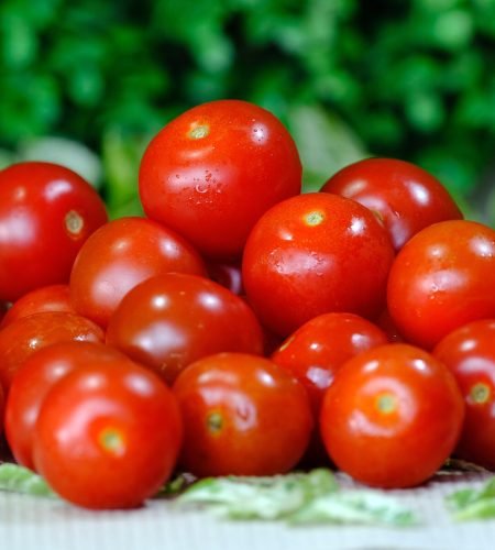 ignartonosbg cherry tomatoes 6601705 1920