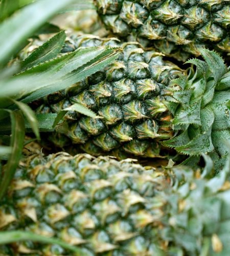 ignartonosbg pineapple 8440180 1920