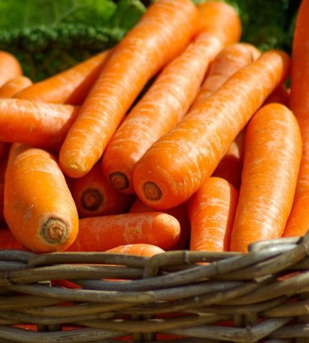 jackmac34 carrots 673184 1920